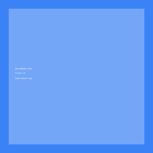 wms-circuit Product 01